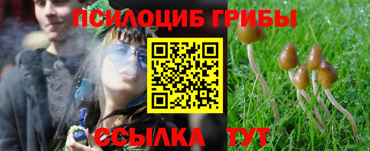 Галлюциногенные грибы Psilocybe  Вход с VPN  Конаково  Псилоцибиновые грибы мухоморы 